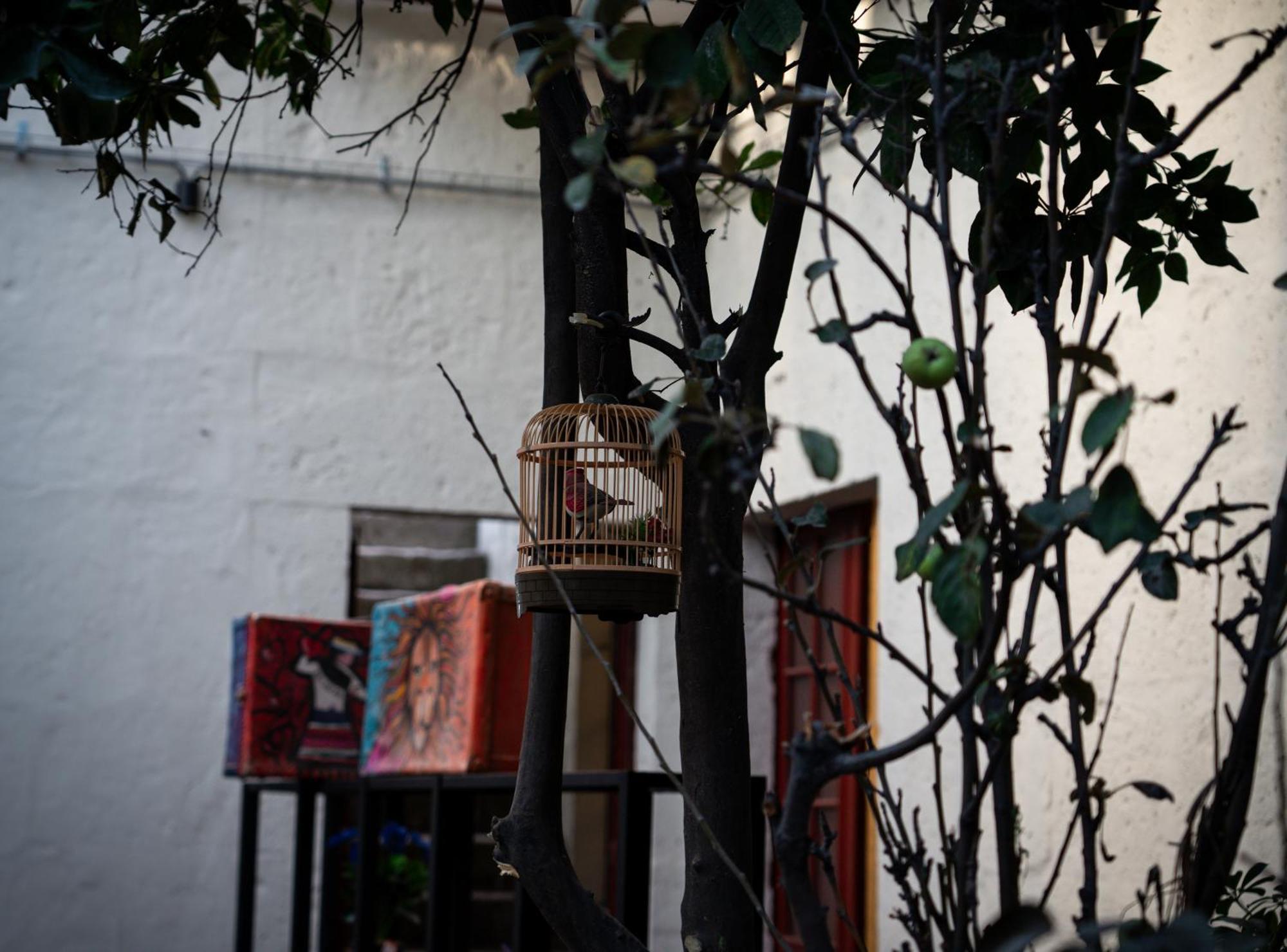 Way Kap Hostel Arequipa Dış mekan fotoğraf